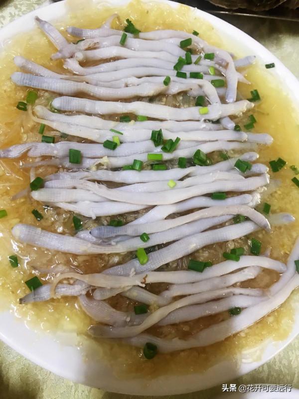 西北飛越近5000公里到最南端湛江，體驗早茶，海鮮，白斬雞和沙蟲