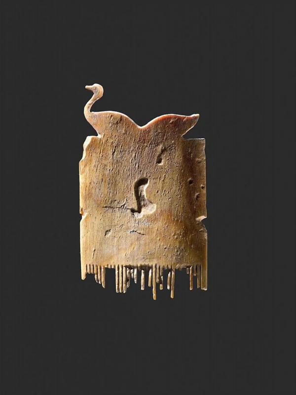 鴨子，身披落霞飛到尋常百姓家