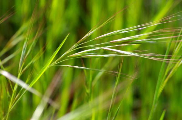 毫無人工打造痕跡，地面為何會冒出這樣巨大的矩形棋盤？