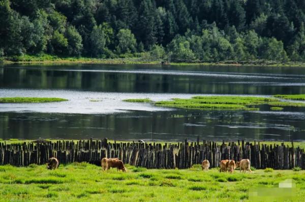 天使居住的地方——香格里拉