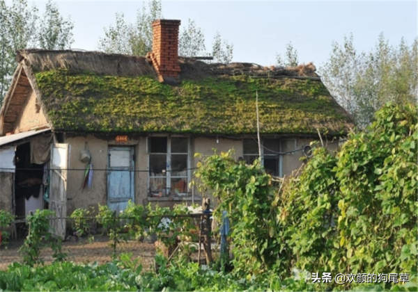 “蓋房不蓋披頭房”的下一句很經典,原來是這個意思呀? “蓋房不蓋披頭房”的下一句很經典,原來是這個意思呀?