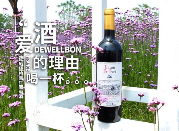 入冬後吃啥都不如吃雞,價格便宜,家常做法,營養解饞 入冬後吃啥都不如吃雞,價格便宜,家常做法,營養解饞