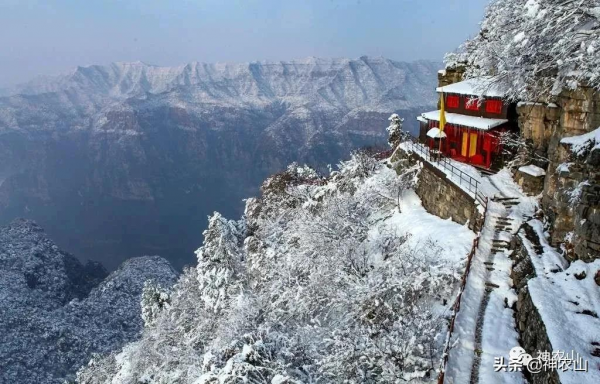 神農山失戀的第54天