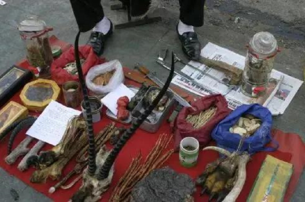 揭秘江湖騙局！真虎骨到底長什麼樣？地攤上假虎骨是怎麼製成的？