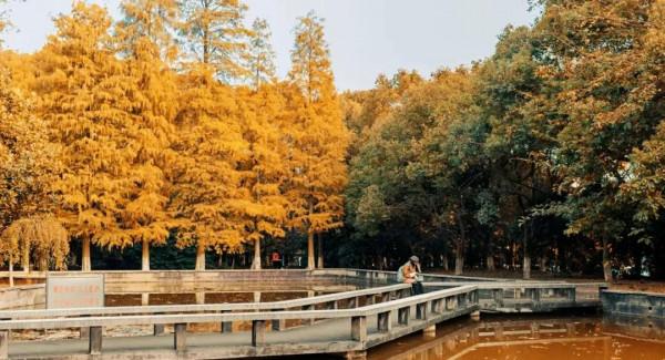 美麗的湖南科技大學