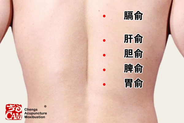 心腦血管疾病進入高發期,養生防病艾灸12背俞穴 心腦血管疾病進入高發期,養生防病艾灸12背俞穴