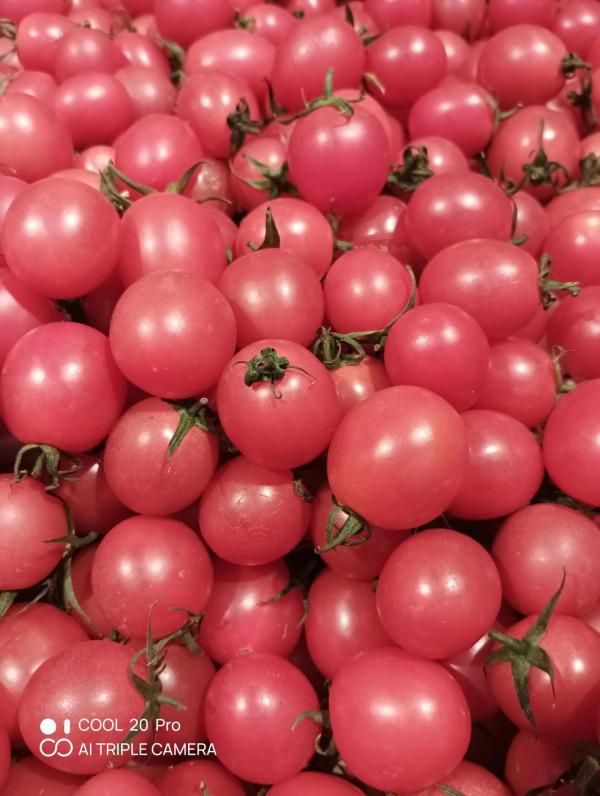 深度體驗cool 20pro拍照技術 深度體驗cool 20pro拍照技術