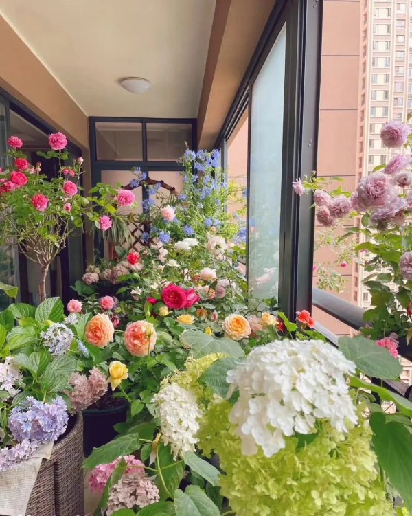 封閉陽臺也爆花!4個優秀案例,面積2.4m²-9m²,總有一個給你靈感 封閉陽臺也爆花!4個優秀案例,面積2.4m²-9m²,總有一個給你靈感