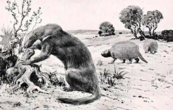 巴西形成於13000年前的隧道,學者確認:建造者不是人類 巴西形成於13000年前的隧道,學者確認:建造者不是人類