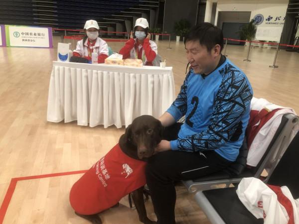 “汪汪隊立大功”5歲導盲犬茶茶跟隨主人征戰殘特奧會 “汪汪隊立大功”5歲導盲犬茶茶跟隨主人征戰殘特奧會