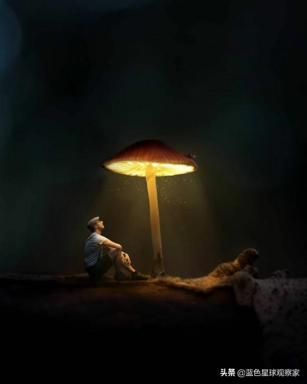 11月新鮮出爐,30張開啟孩子想象力的攝影作品 11月新鮮出爐,30張開啟孩子想象力的攝影作品