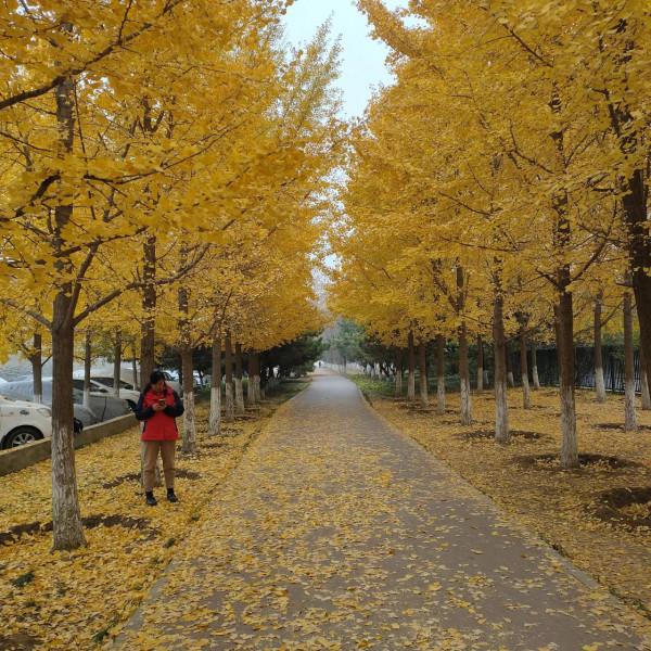 降溫之前抓緊辦！拍美照