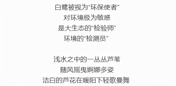 無須遠行！定西湖，人間秋色