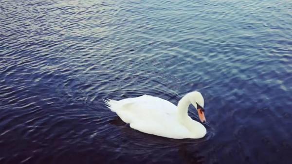 英倫遊歷散記D1-2 英倫遊歷散記D1-2