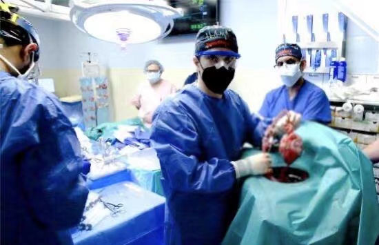 首例豬心臟成功移植入人體內，人面獸心成為現實？