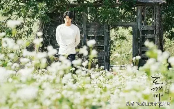 最適合拍照的6個地方,景美人少,隨手一拍都是大片 最適合拍照的6個地方,景美人少,隨手一拍都是大片