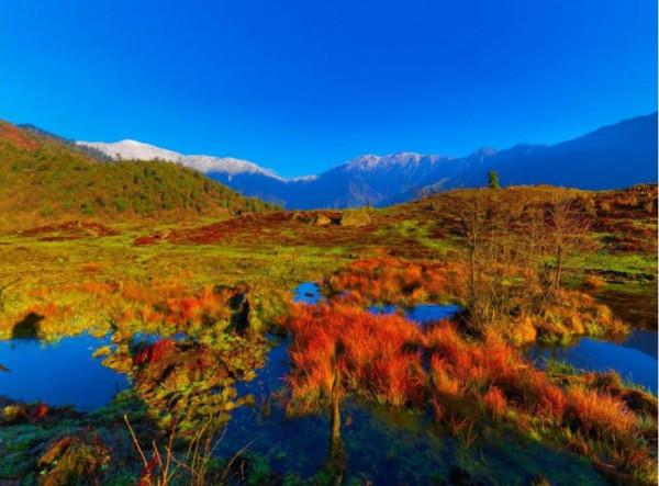 紅葉的季節來咯 紅葉的季節來咯