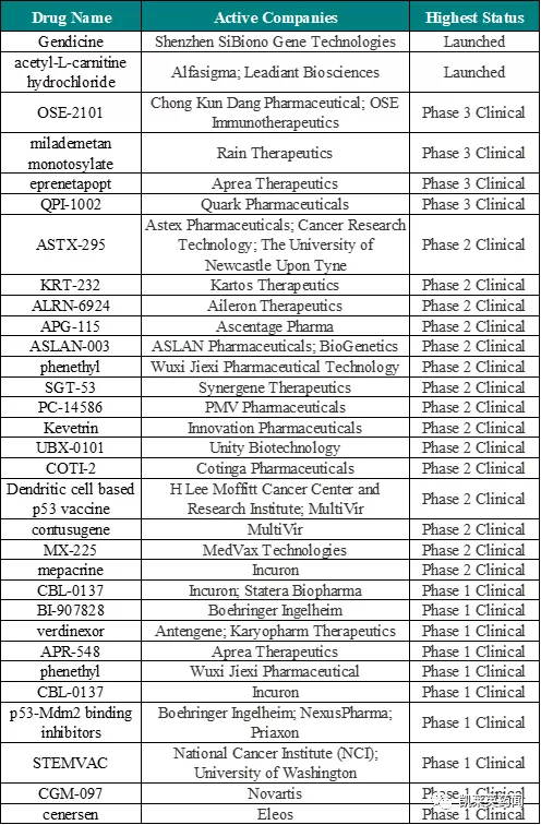 聚焦藥靶:P53的新藥開發即將迎來破冰時刻? 聚焦藥靶:P53的新藥開發即將迎來破冰時刻?