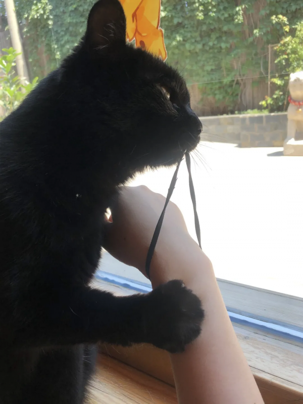 第二彈！終於攢夠了一波“可愛”照片