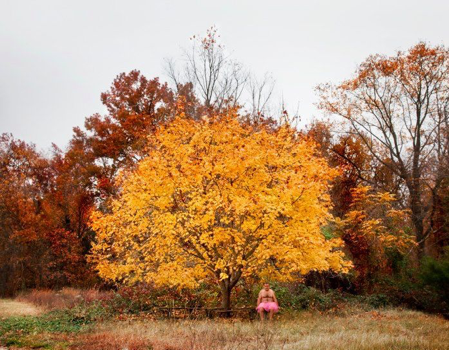 外國人有很多品質值得我們學習 外國人有很多品質值得我們學習