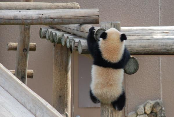 九月的日本：由夏入秋