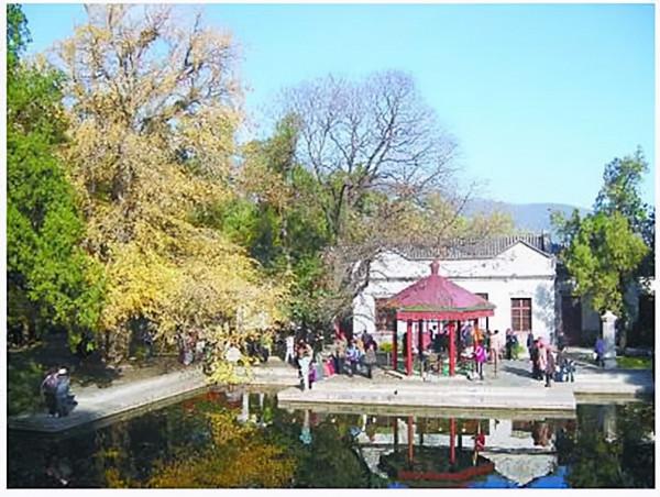 1949年,軍車強闖香山銷燬廢炮彈,涉事營長法辦,教導員撤職 1949年,軍車強闖香山銷燬廢炮彈,涉事營長法辦,教導員撤職