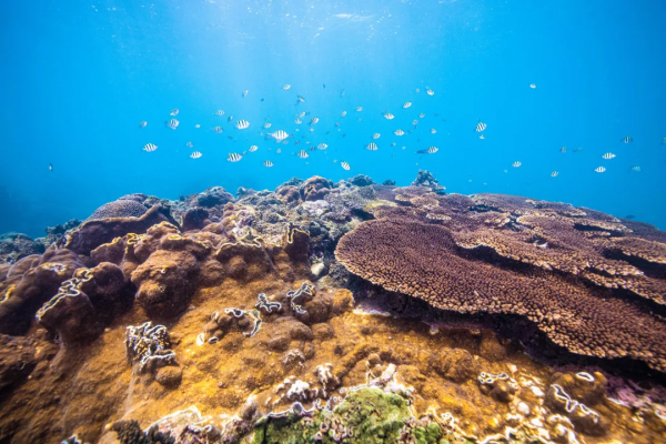 高鐵0.5h、物價只有一半，我願稱她為三亞最強備胎