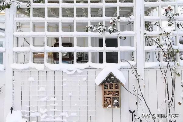 他賣掉城裡的房子，包了個山頭，打造集裝箱陽光房、小木屋、花園