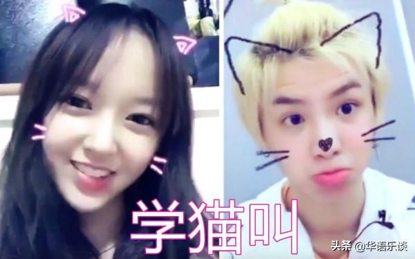 網路熱歌為何總是一股子“網路”味兒?老牌網路歌手王麟道出真相 網路熱歌為何總是一股子“網路”味兒?老牌網路歌手王麟道出真相