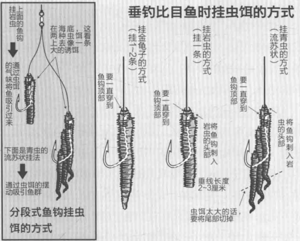 海釣比目魚釣點選擇 釣餌使用 釣法探討「 日本專業入門投釣書籍 」