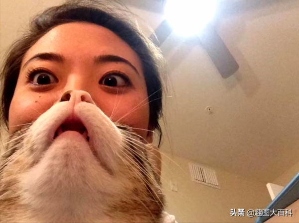 41張“活久未見”的巧合圖片，讓人感覺很難相信這是真的