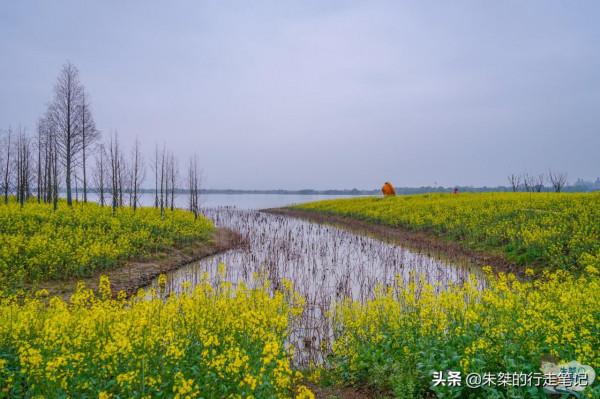 打卡國內幾處絕美的賞秋勝地，品味“人間最美是清秋！”