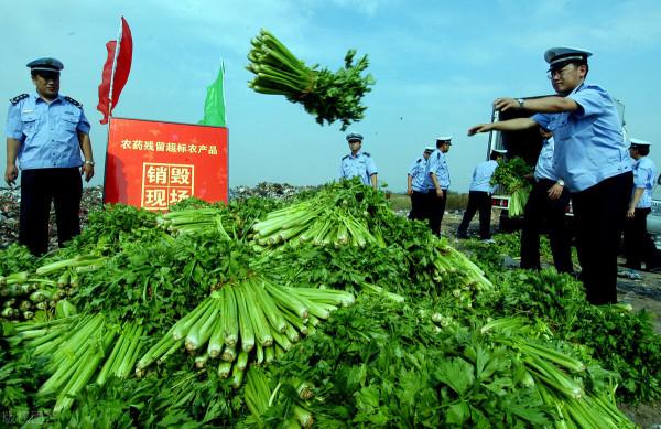3萬斤蔬菜被銷燬,拍手稱快?不能到此結束,對比日本有兩點要做 3萬斤蔬菜被銷燬,拍手稱快?不能到此結束,對比日本有兩點要做