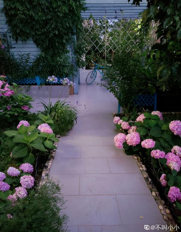 懷孕辣媽超愛養花,親力親為建花園,現在人人都羨慕 懷孕辣媽超愛養花,親力親為建花園,現在人人都羨慕