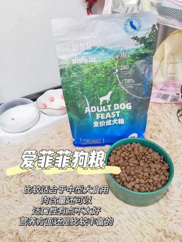狗狗挑食怎麼辦，那可能是餵了“毒”狗糧