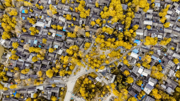 太美了!10個愈秋愈美的小眾旅行地,錯過只能再等一年 太美了!10個愈秋愈美的小眾旅行地,錯過只能再等一年