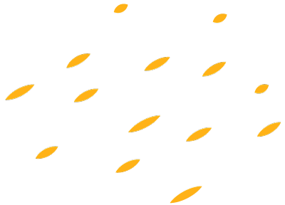 打卡一個秋天!用鏡頭記錄下靜謐秋意 打卡一個秋天!用鏡頭記錄下靜謐秋意