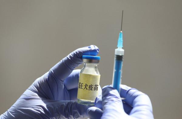 男子被寵物狗咬傷，打了狂犬疫苗，半個月後，人為什麼還是沒了？