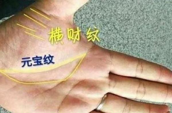 手握金魚骨，富貴不用愁，什麼是金魚骨？說的有道理嗎