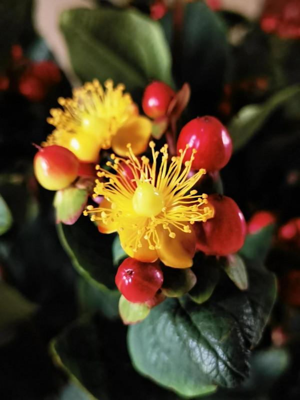 你眼中的友情是啥樣子