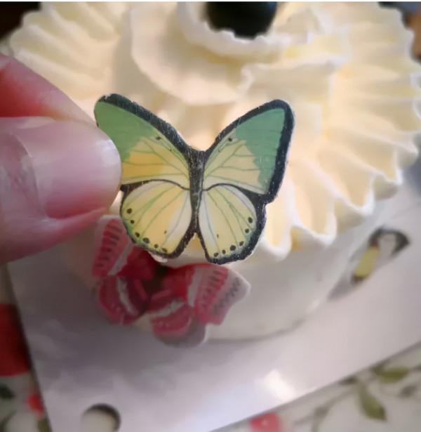 甲友心聲——抗癌11年,2次手術,我們的存在配得上所有的美好 甲友心聲——抗癌11年,2次手術,我們的存在配得上所有的美好