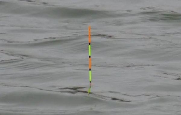 釣魚“空槍”的原因及解決方法都在這裡，趕緊收藏