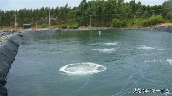 水產養殖調控水質三要素，為魚蝦蟹生長增添動力