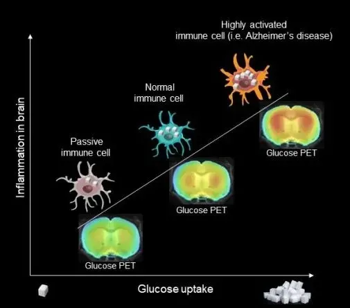 腦科學日報:睡前喝杯牛奶,真的有助睡眠? 腦科學日報:睡前喝杯牛奶,真的有助睡眠?