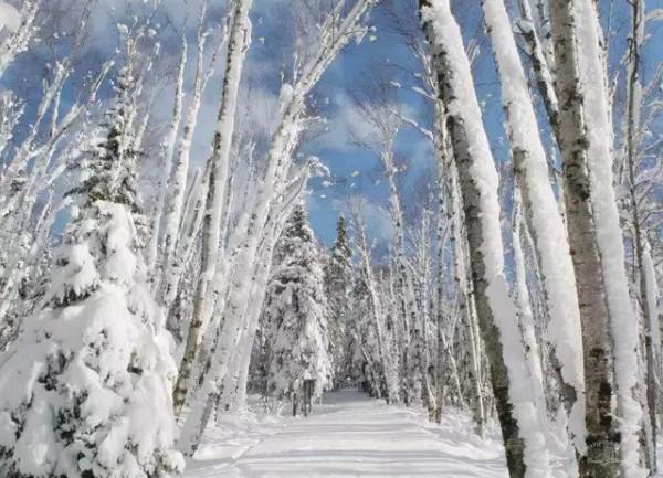 雪鄉，這才是中國最美的冬天