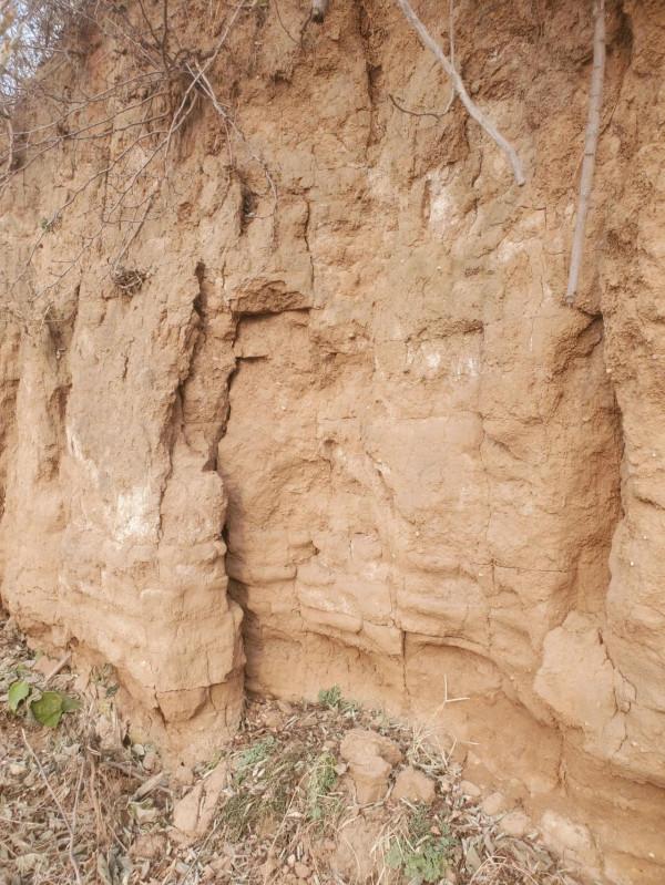 西域三十六國(3) 西域三十六國(3)