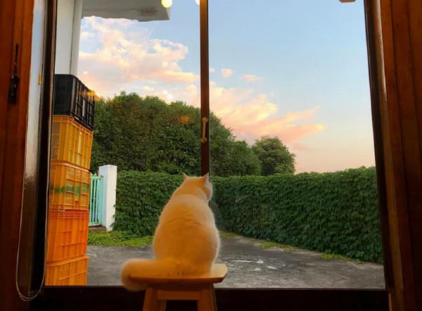 入心情緒文案：世上原沒有討厭的人，生活不快活了顯著討厭