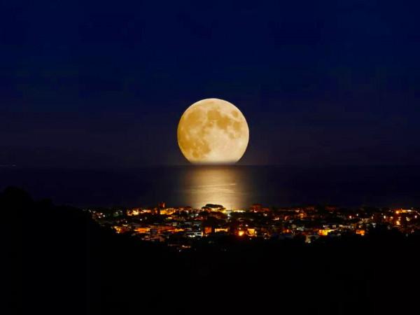 老人常說：“年怕中秋月怕半，人怕中年歲怕夕”，看完又漲知識了