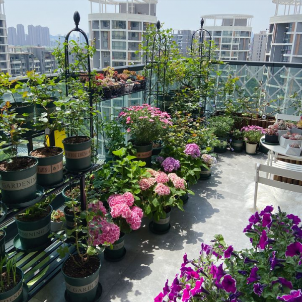 養花的“舊土”加點“廢物”，又肥的流油，養花一級棒