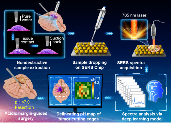 科研速遞 | 復旦上醫2022年1月科研成果一覽